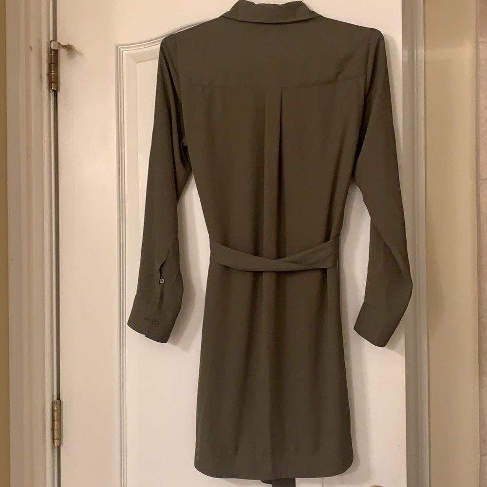 Express Dress - Picture 3 of 3